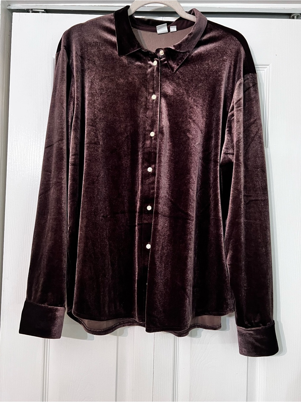 GAP Brown Velvet Top